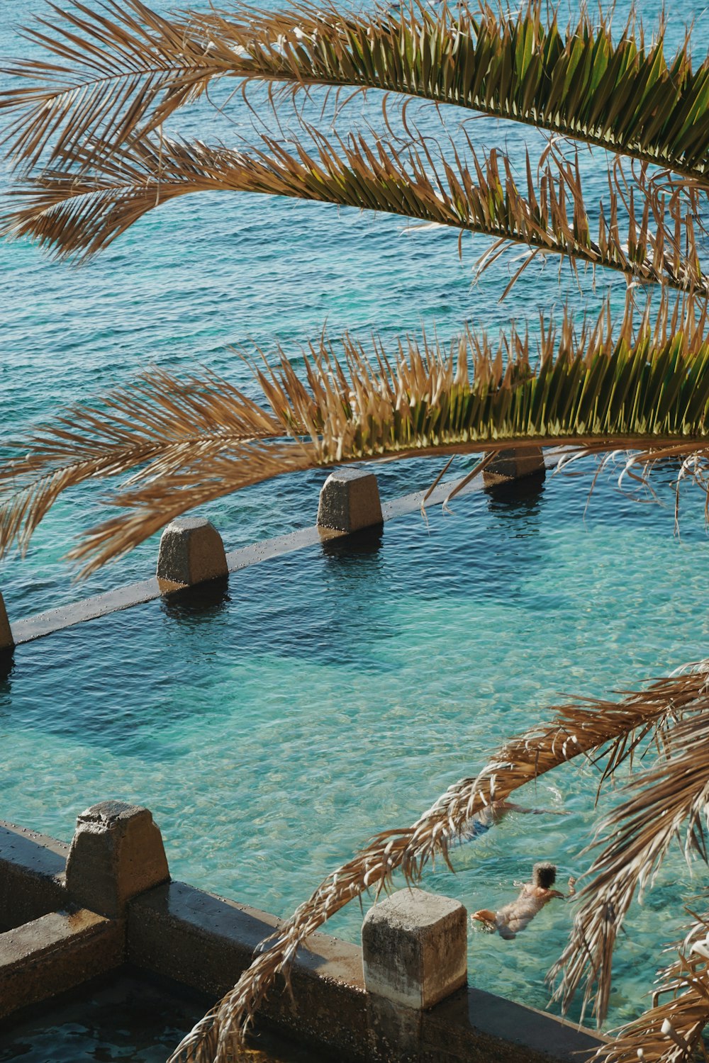 a large body of water surrounded by rocks and palm trees