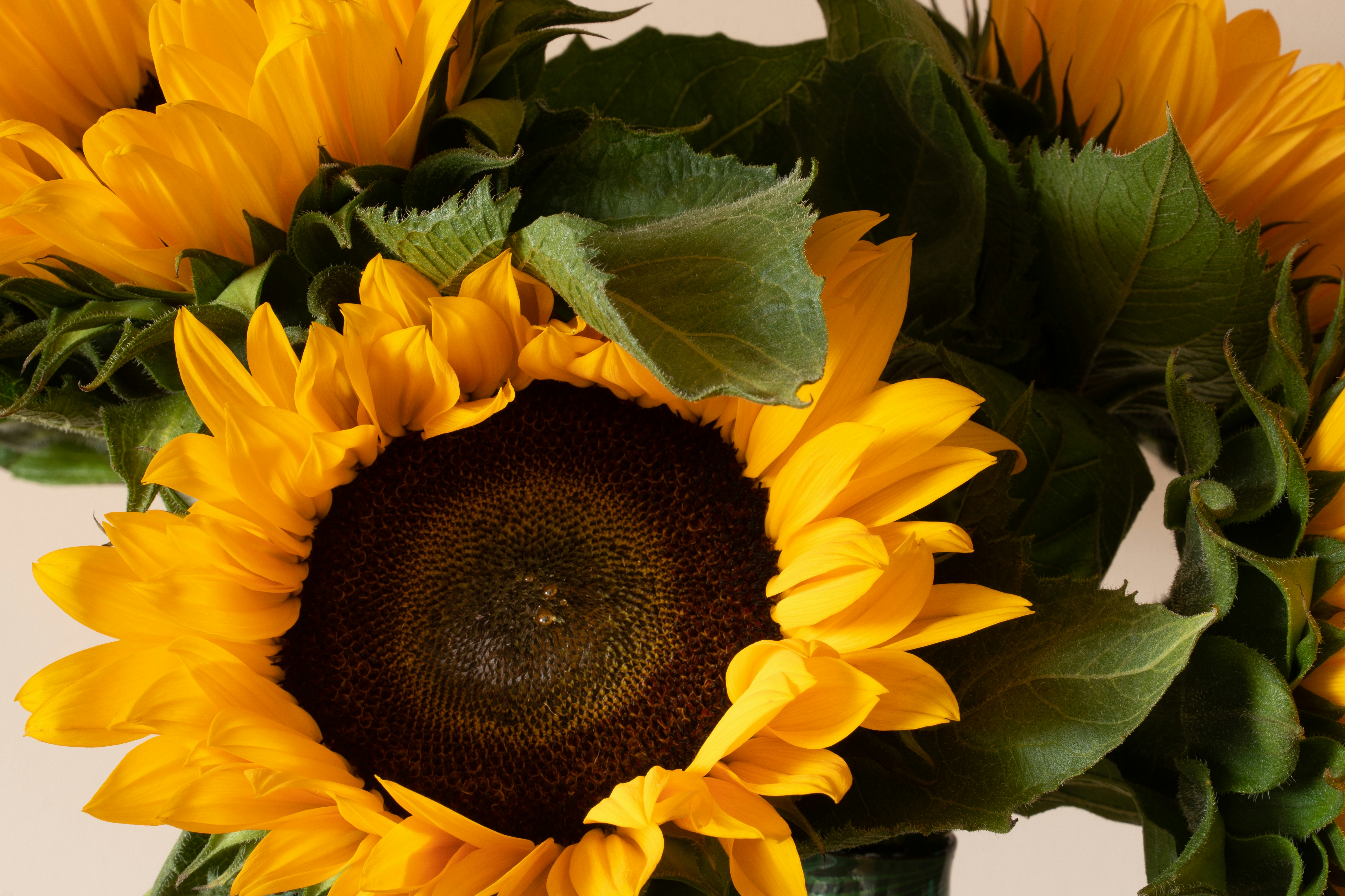 Photo by earl_plannerzone