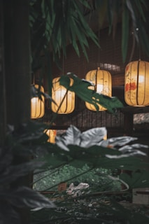 Softly glowing lanterns hang amidst lush green foliage in a dimly lit interior space. Bamboo leaves partially obscure the view, creating a natural frame around the warm amber light of the lanterns.