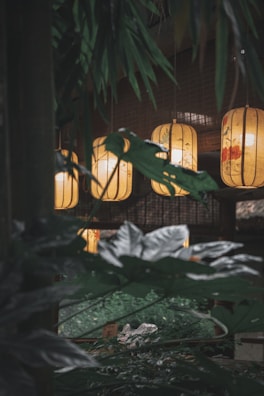 Softly glowing lanterns hang amidst lush green foliage in a dimly lit interior space. Bamboo leaves partially obscure the view, creating a natural frame around the warm amber light of the lanterns.