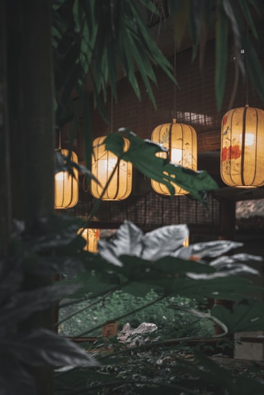 Softly glowing lanterns hang amidst lush green foliage in a dimly lit interior space. Bamboo leaves partially obscure the view, creating a natural frame around the warm amber light of the lanterns.