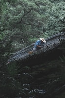 A person wearing a broad-brimmed straw hat and blue clothing is working on the tiled roof of a building. The surrounding environment is lush with dense, green foliage and tall trees, creating a serene and natural setting.