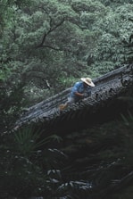 A person wearing a broad-brimmed straw hat and blue clothing is working on the tiled roof of a building. The surrounding environment is lush with dense, green foliage and tall trees, creating a serene and natural setting.