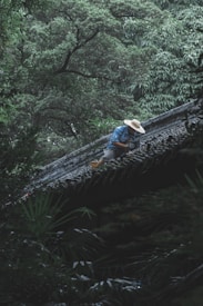 A person wearing a broad-brimmed straw hat and blue clothing is working on the tiled roof of a building. The surrounding environment is lush with dense, green foliage and tall trees, creating a serene and natural setting.