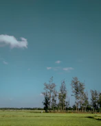 Plot of land with clear sky and surrounding trees.