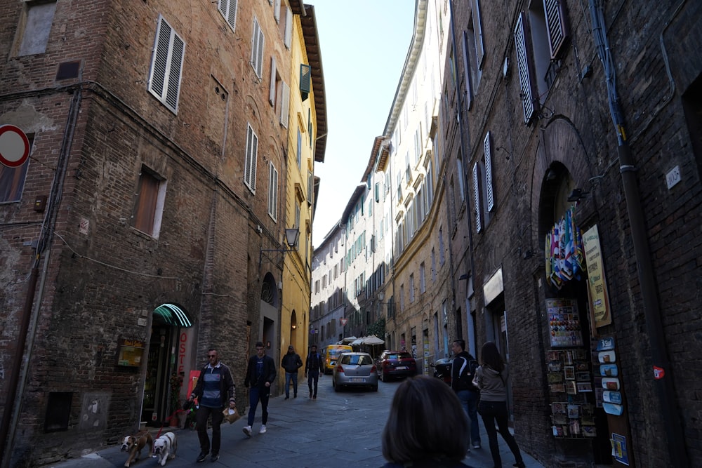 people walking on street between buildings during daytime