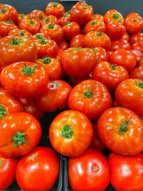 Close-up of ripe tomatoes being sorted on a conveyor belt in a modern facility.