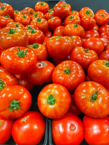 Close-up of ripe tomatoes being sorted on a conveyor belt in a modern facility.
