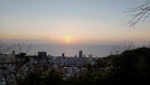 A panoramic view captures a cityscape at sunset, with the sun setting over the ocean in the background. The skyline is dotted with tall buildings, while trees and branches frame the scene in the foreground. The sky displays a gradient of warm colors fading into blue as the sun descends.