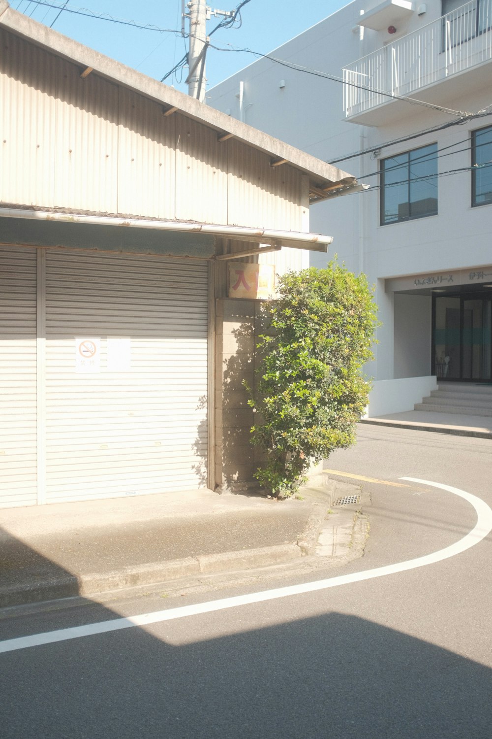 a building with a tree in the middle of the street