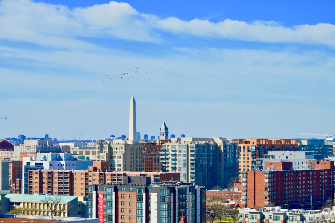 city skyline under blue sky during daytime