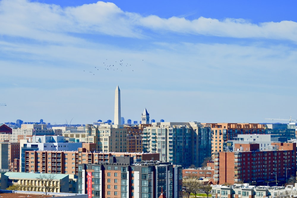 city skyline under blue sky during daytime