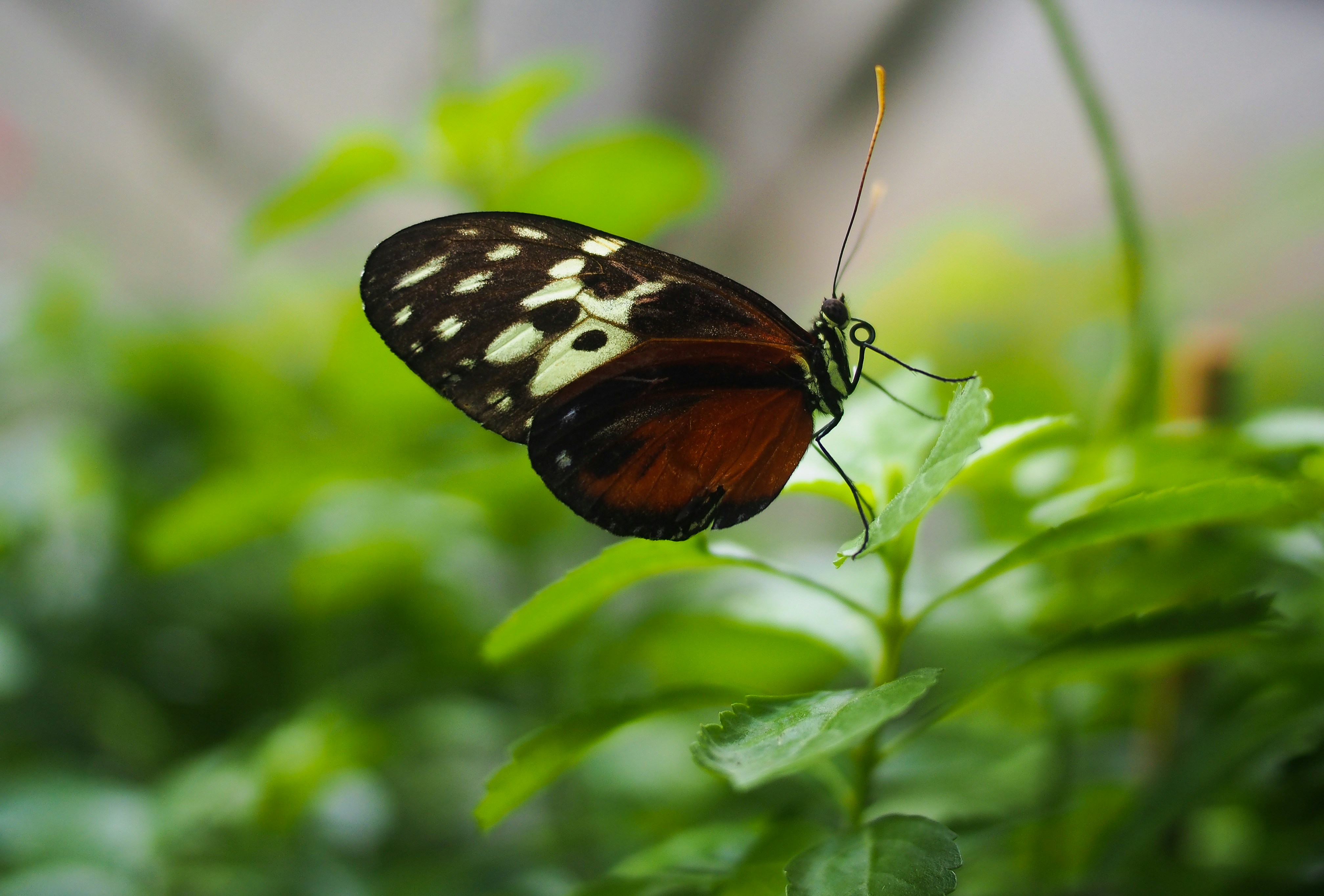 Photo by starwarsgirl