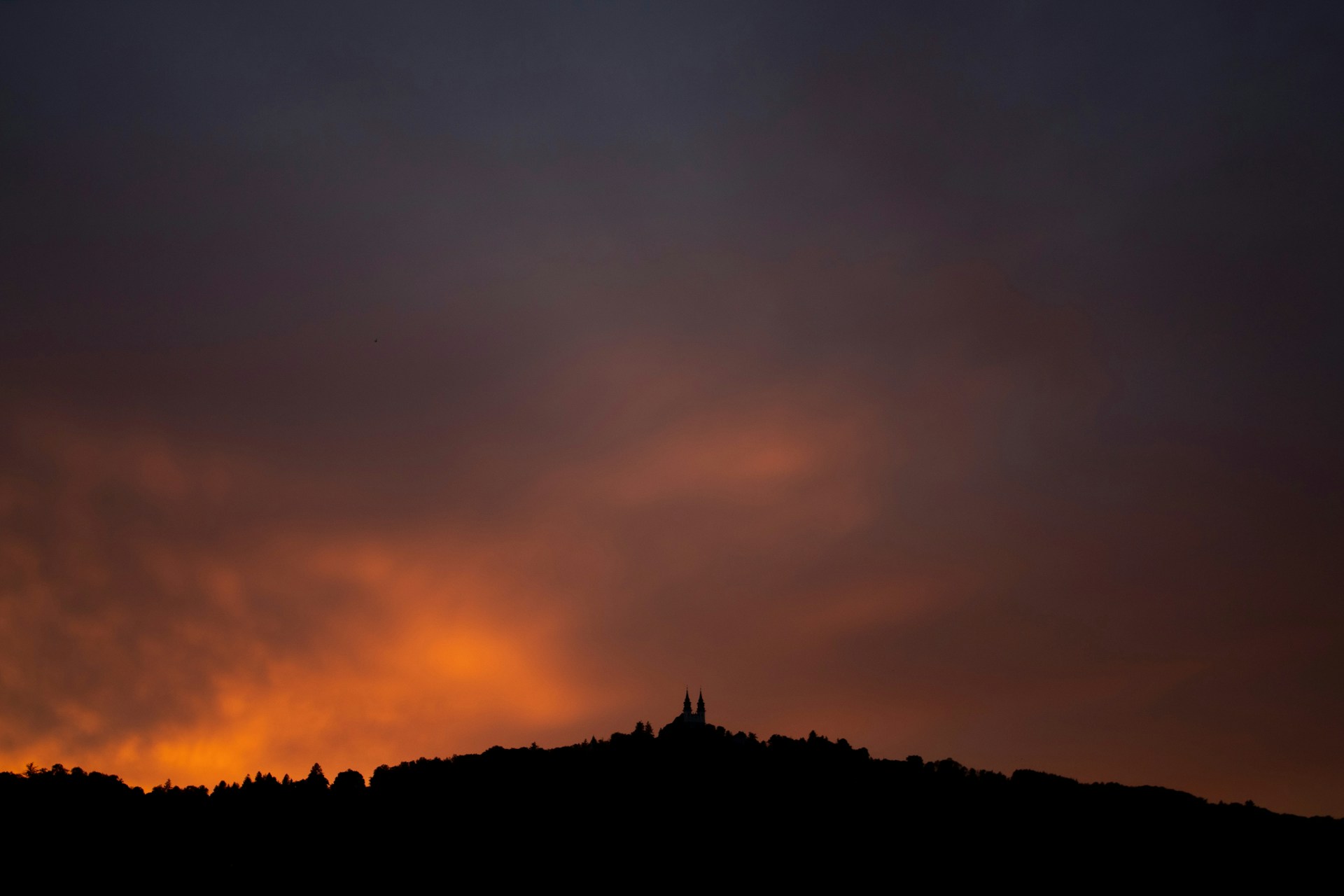 silhouette of trees during sunset