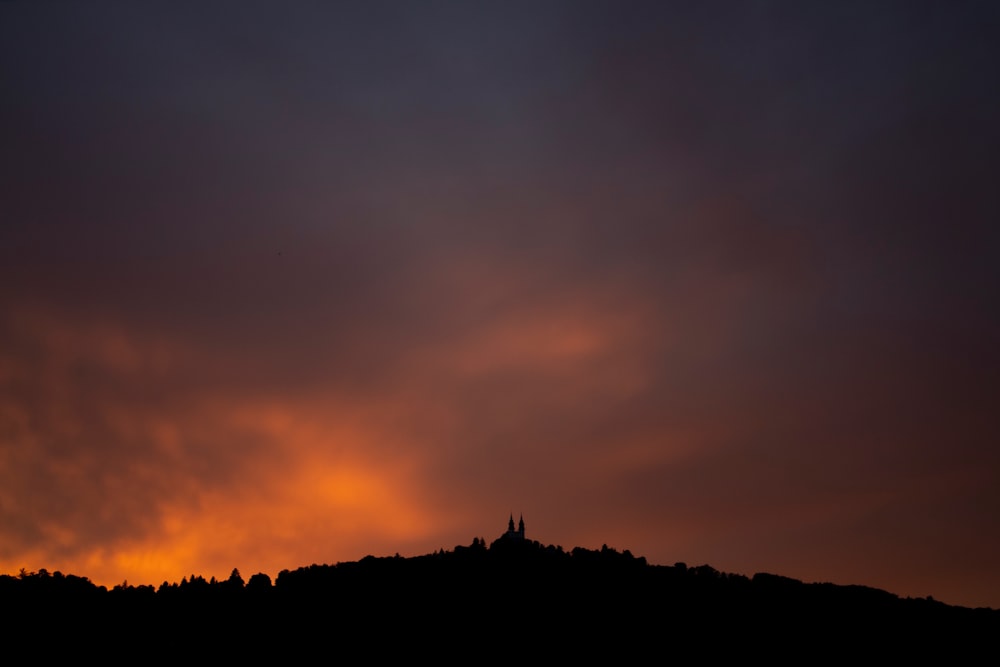 silhouette of trees during sunset