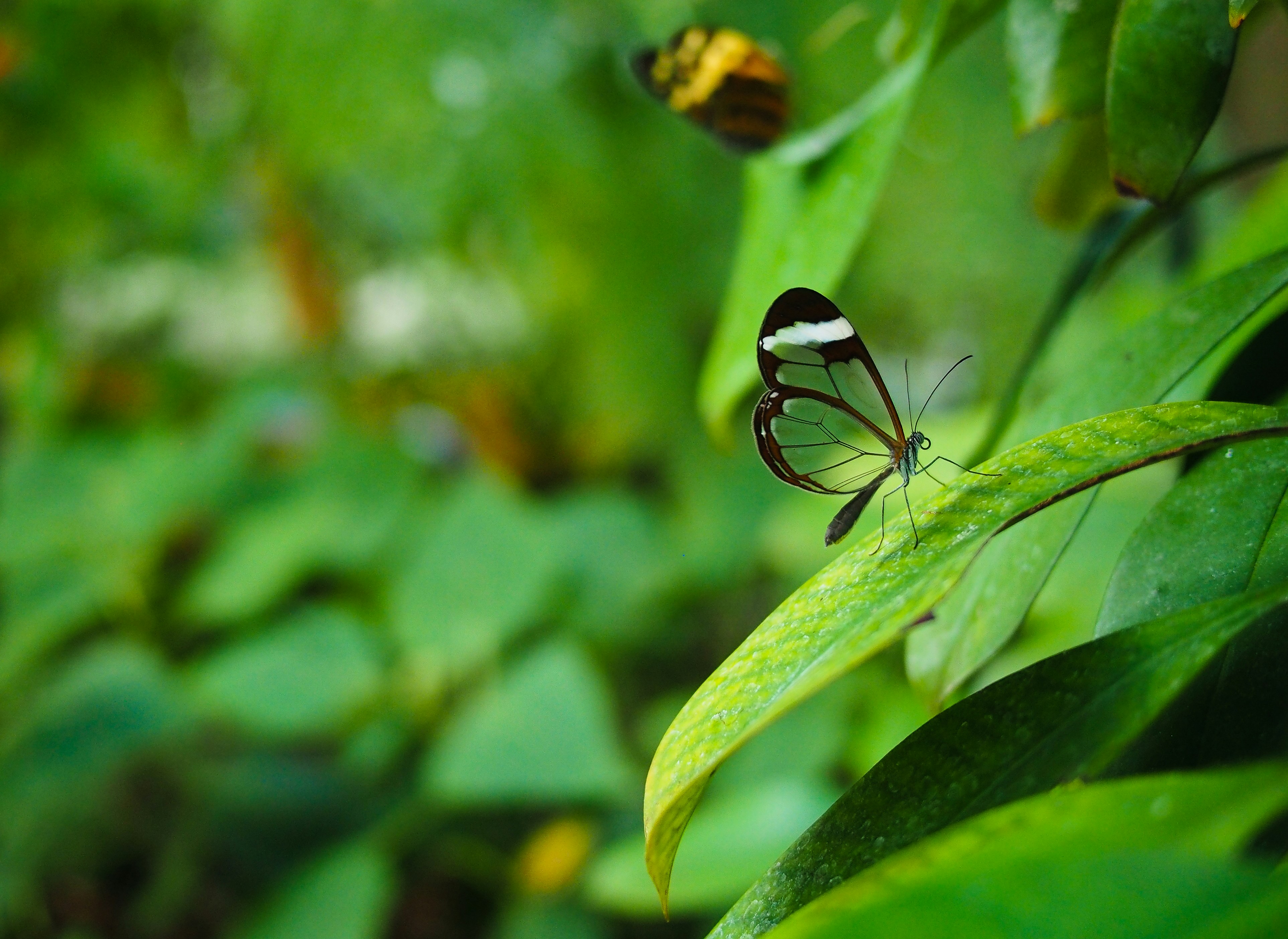 Photo by starwarsgirl