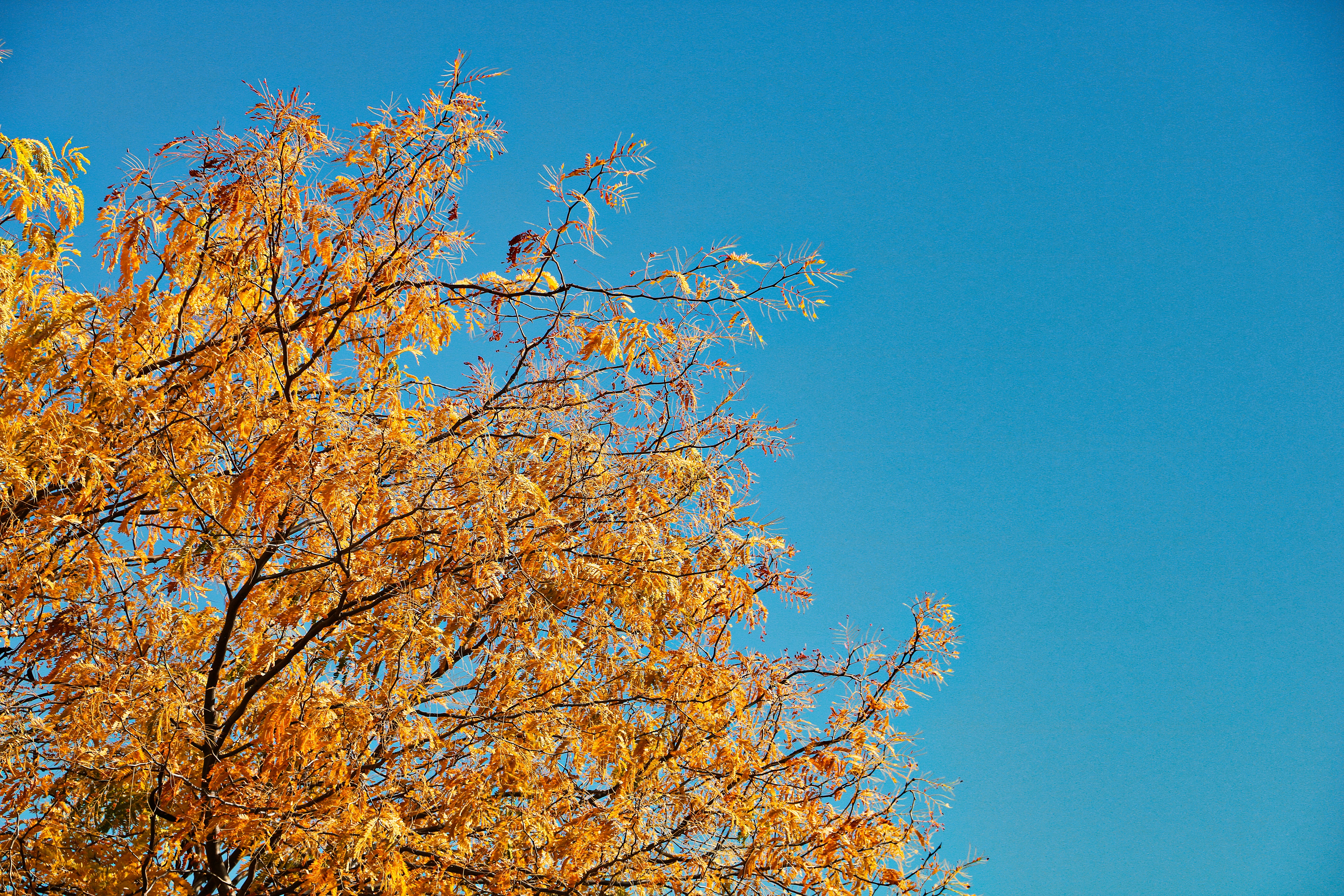 Photo by terry_quangt