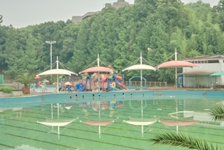 Community swimming pool with clear water and surrounding greenery on a sunny day.