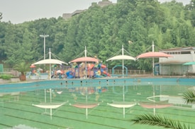 A large outdoor swimming pool with clear water is surrounded by a playground featuring colorful equipment and shelters. Lush green trees form the backdrop, and the reflection of the playground can be seen in the pool.
