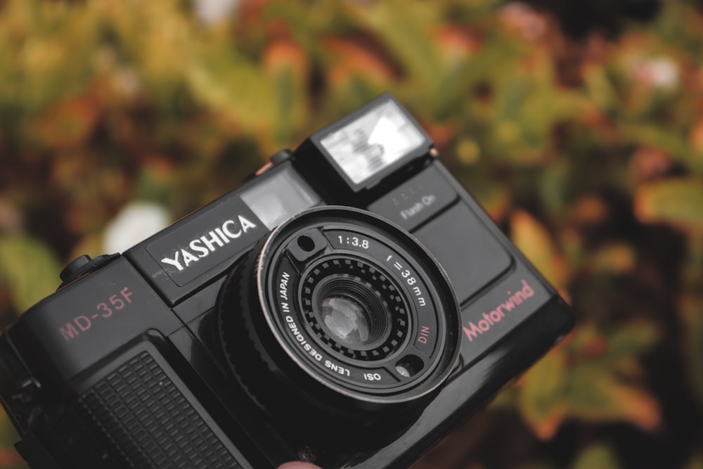 Appareil photo reflex numérique Nikon noir sur feuilles jaunes et rouges