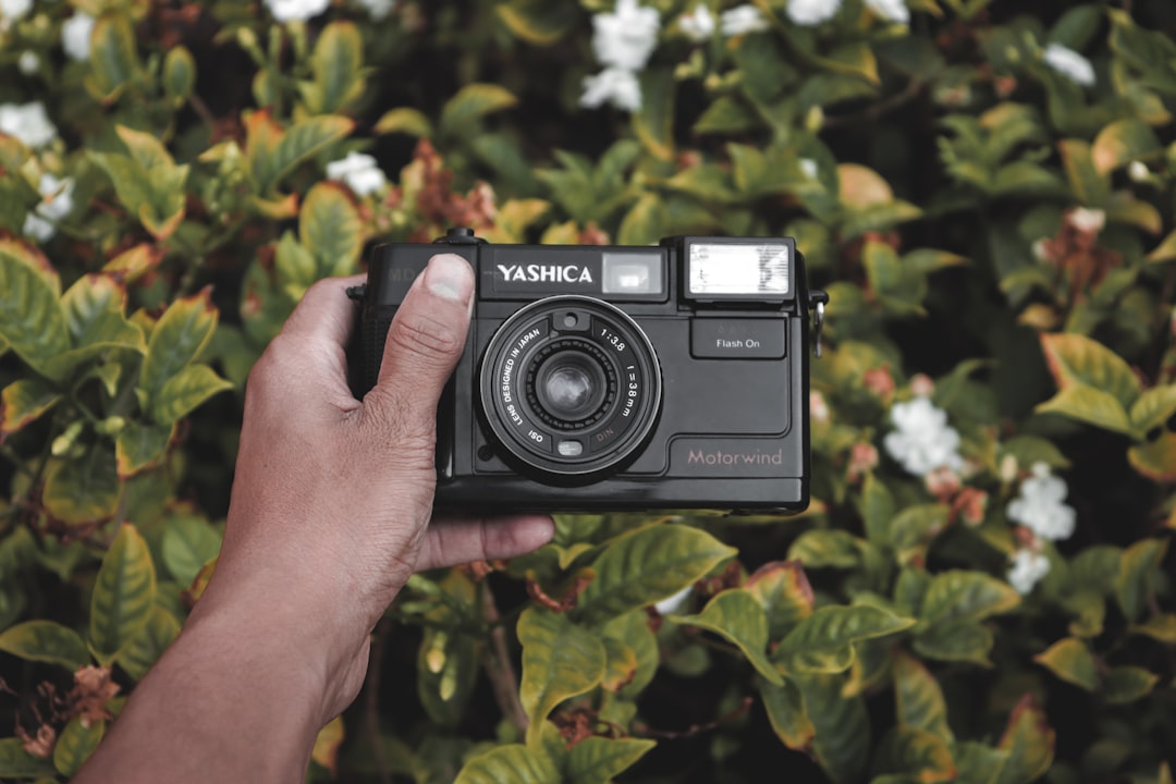 person holding black nikon dslr camera