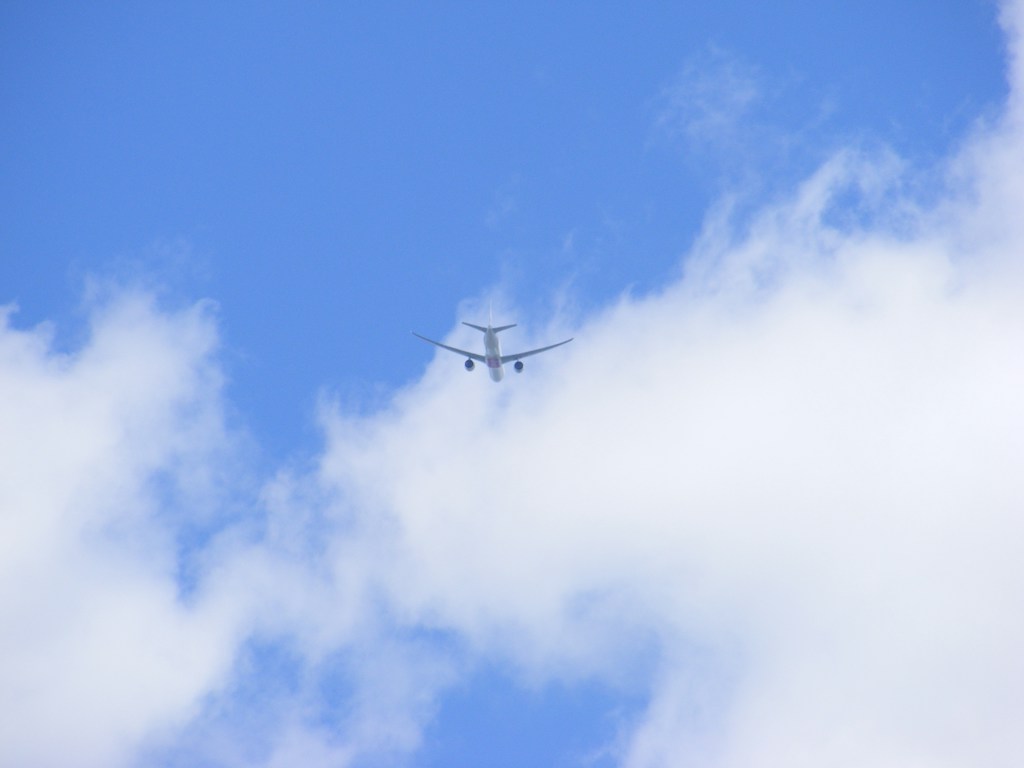 Envío Aéreo Rápido