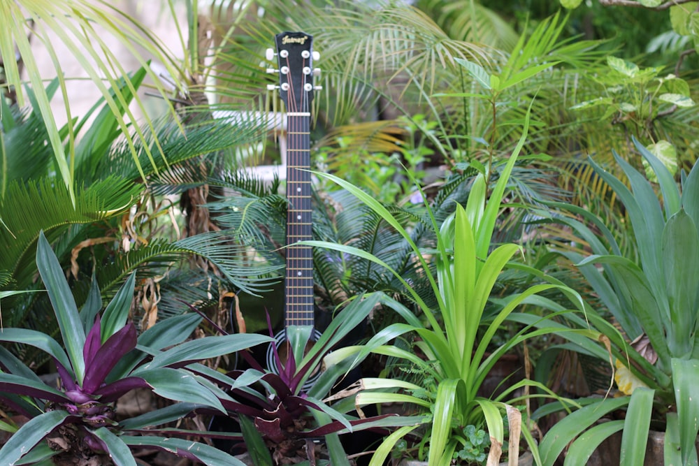 black and brown acoustic guitar on green plants