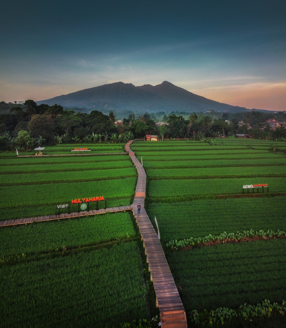 green grass field near mountain under blue sky during daytime