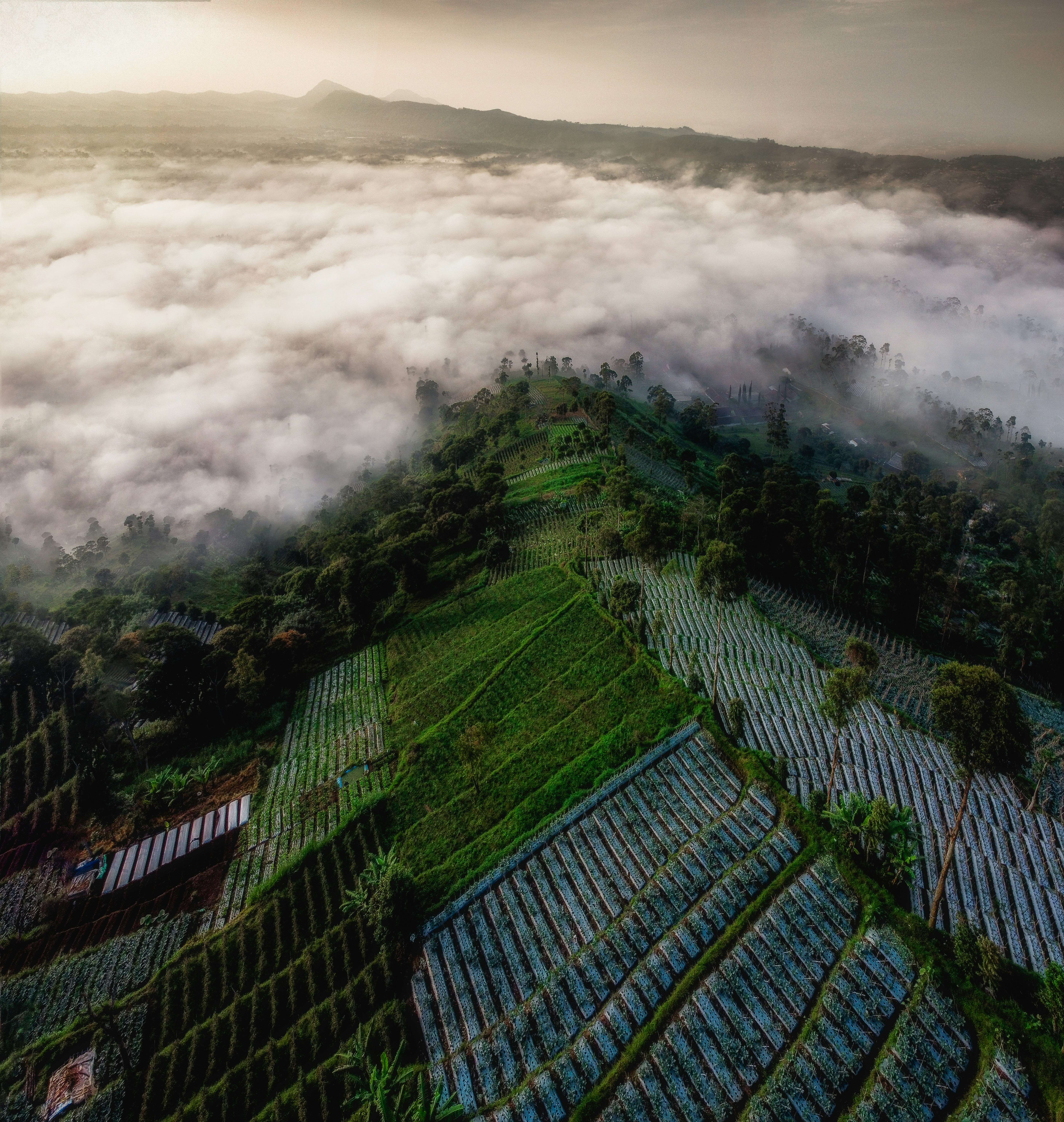 Vue aérienne de champs verts sous un ciel nuageux pendant la journée