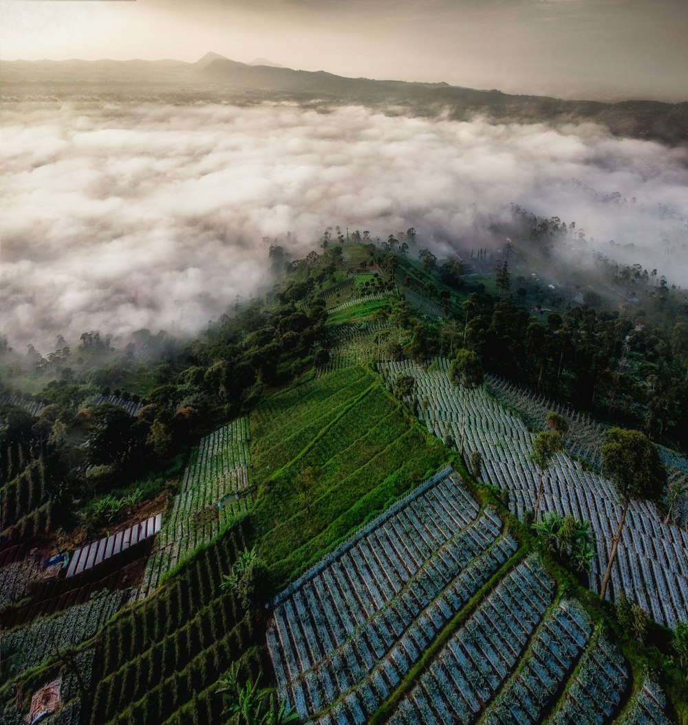 Vista aérea de campos verdes bajo el cielo nublado durante el día