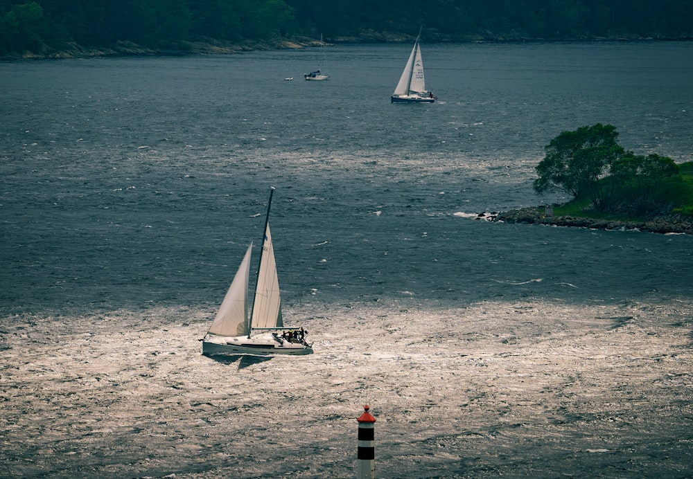 a couple of sail boats floating on top of a body of water