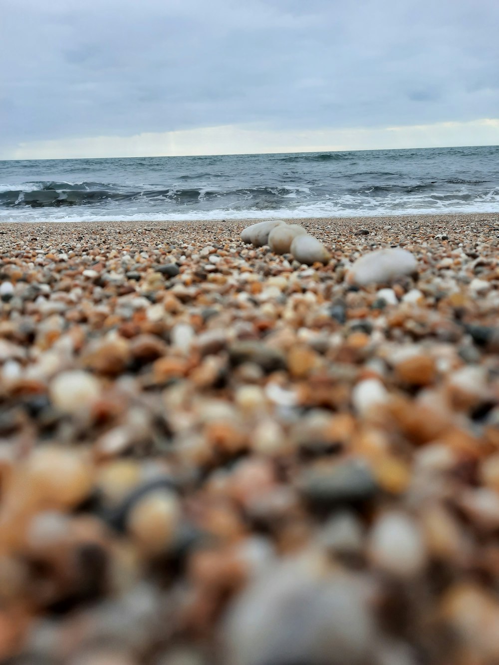 brown and white pebbles on beach shore during daytime