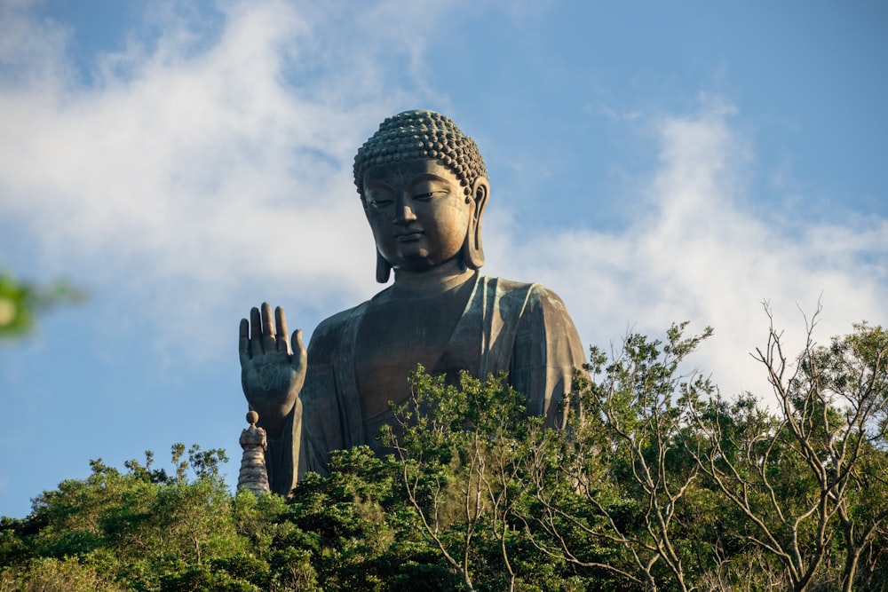 buddha statue surrounded by green plants under white clouds during daytime