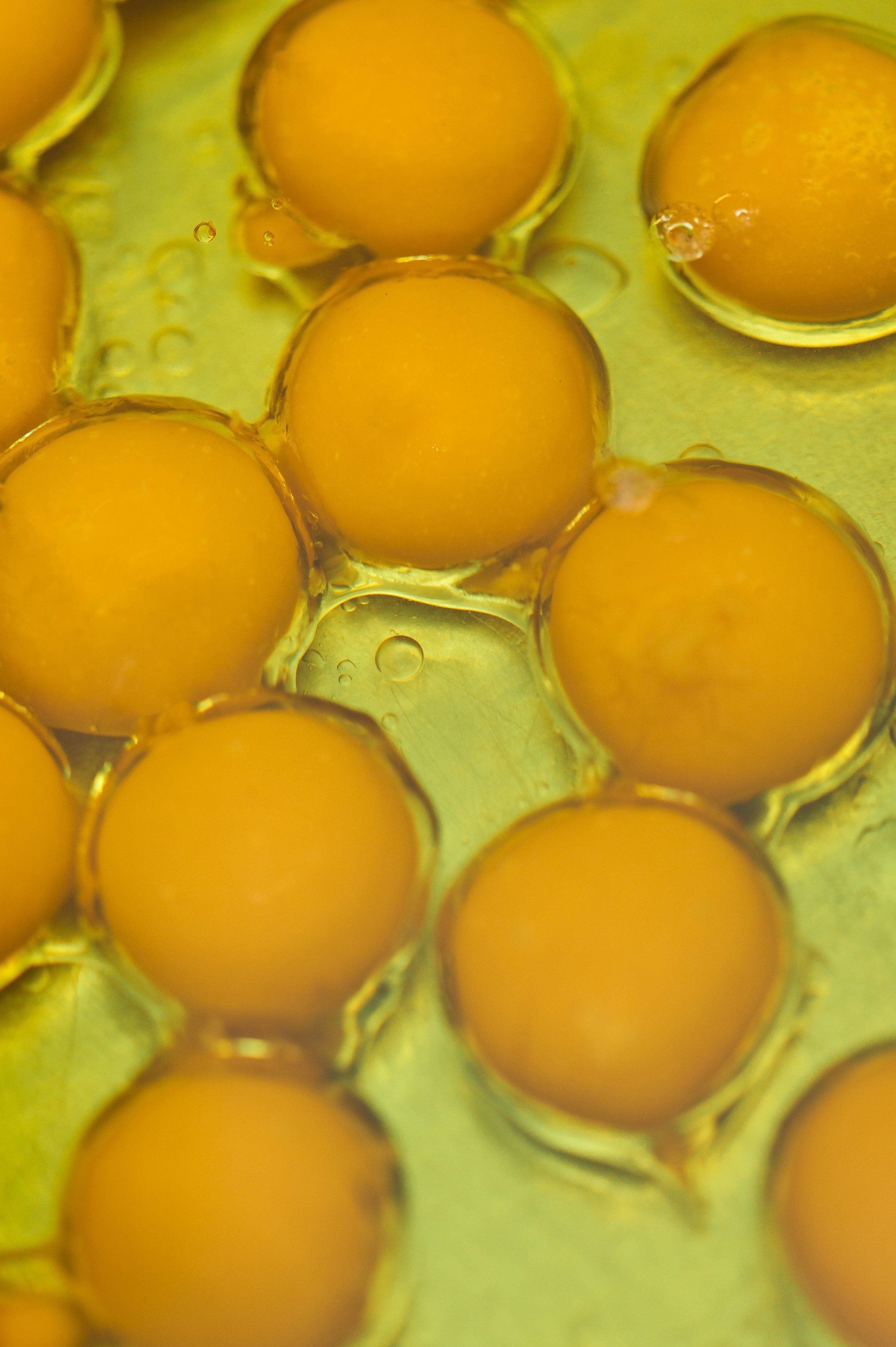 Photo by madseneqvist