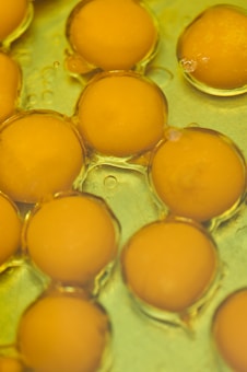 A close-up view of several raw egg yolks arranged closely together, submerged in egg white. The yolks appear glossy and smooth, with a rich yellow hue.