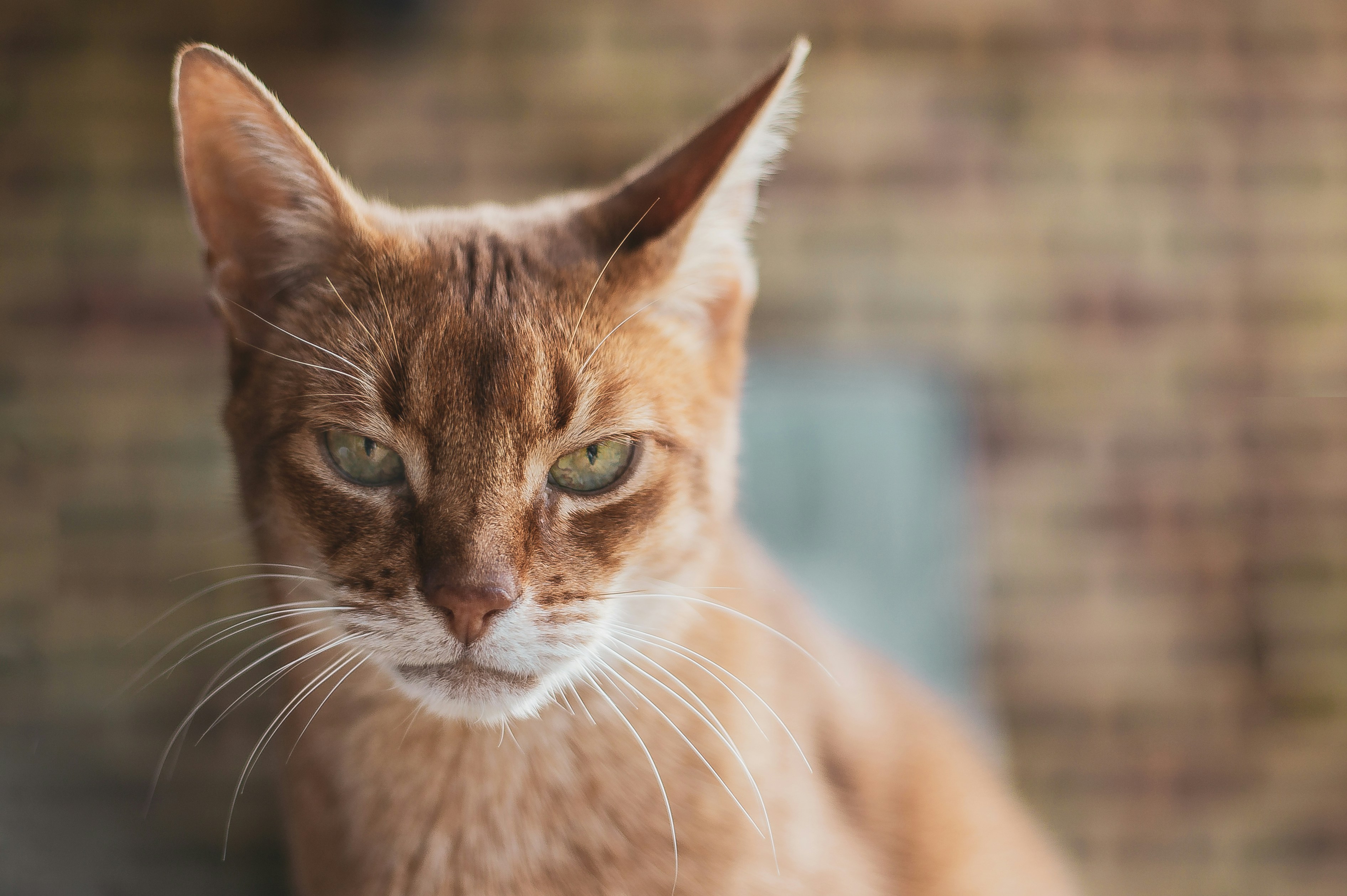 Photo by madseneqvist