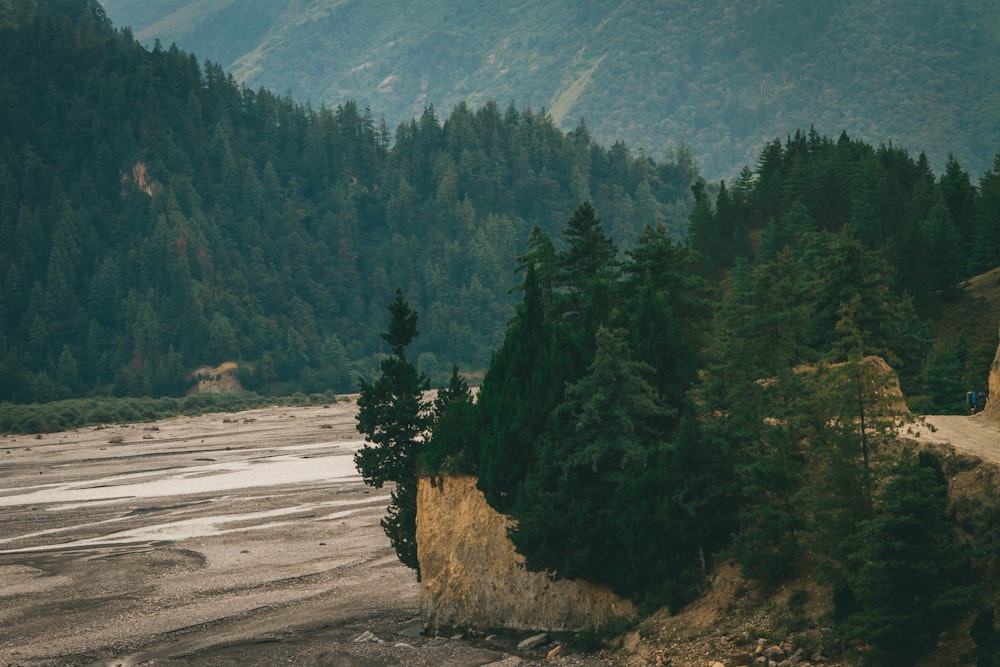 a scenic view of a river surrounded by trees