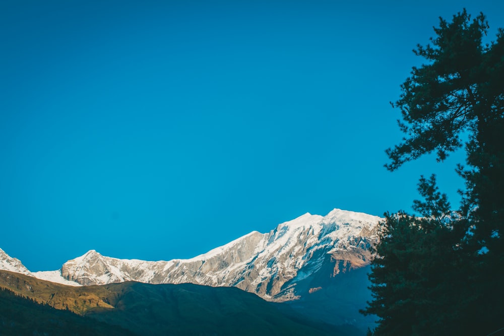 una vista di una montagna innevata da lontano