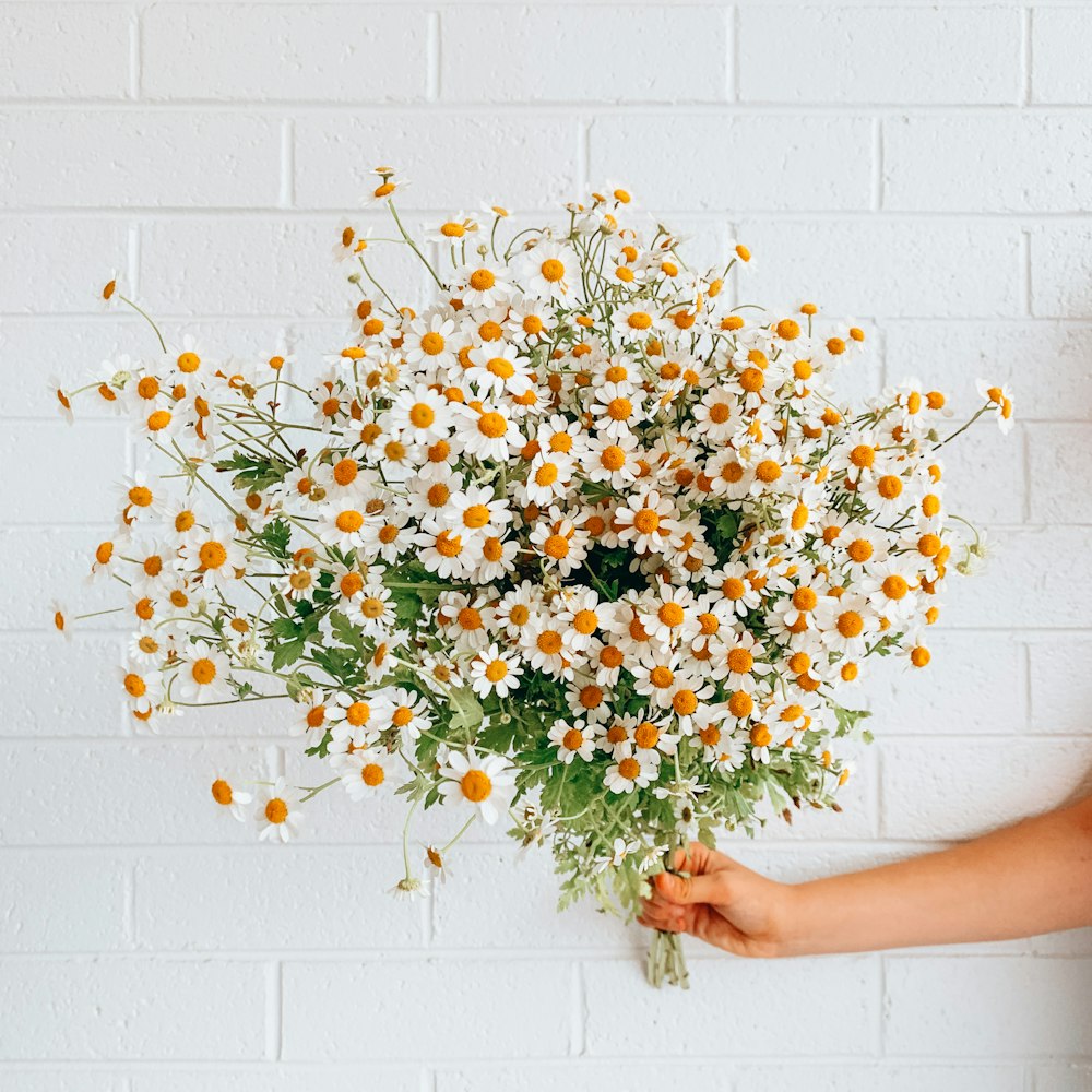 persona sosteniendo flores blancas y amarillas