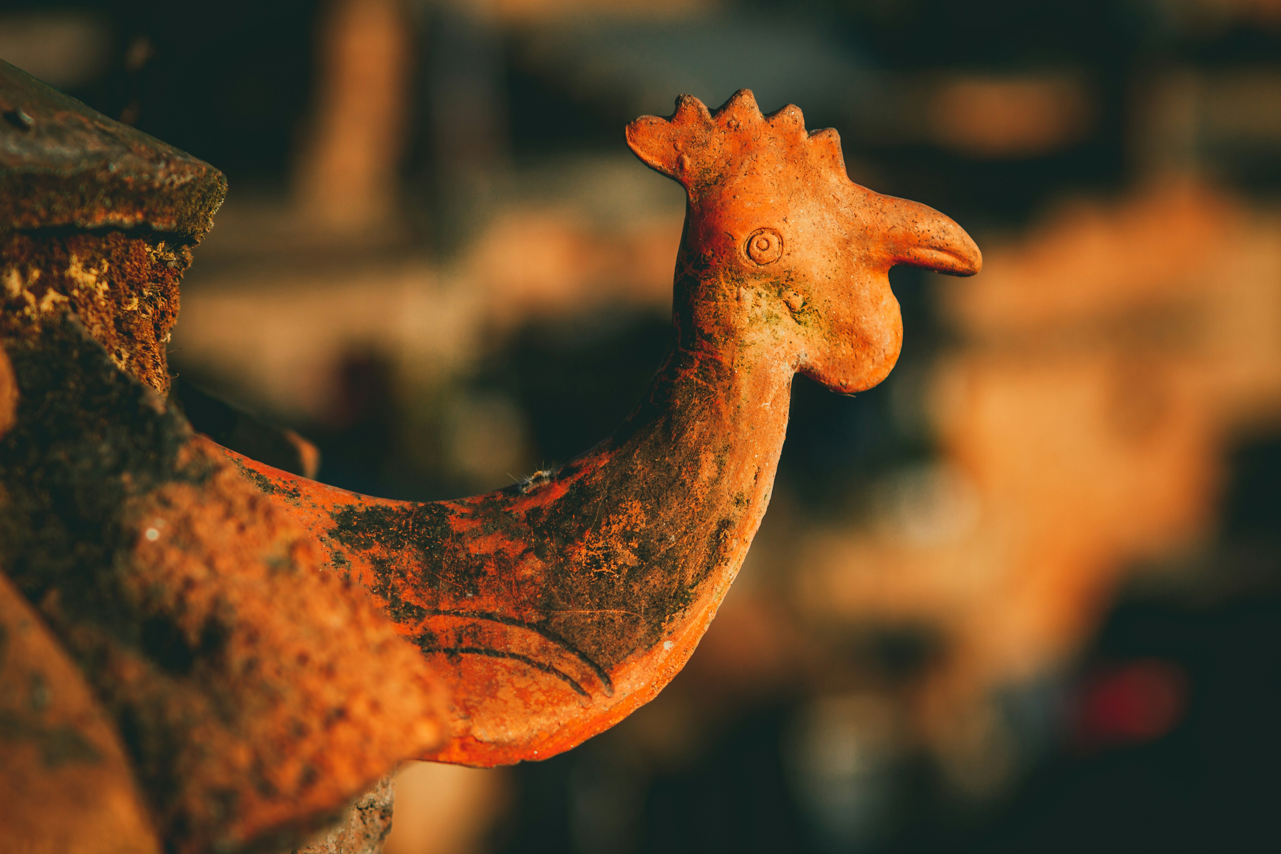 Photo by raimondklavins