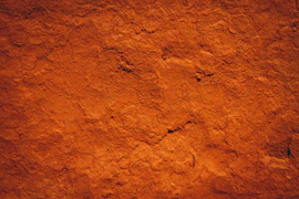 a red wall with a black cat on it