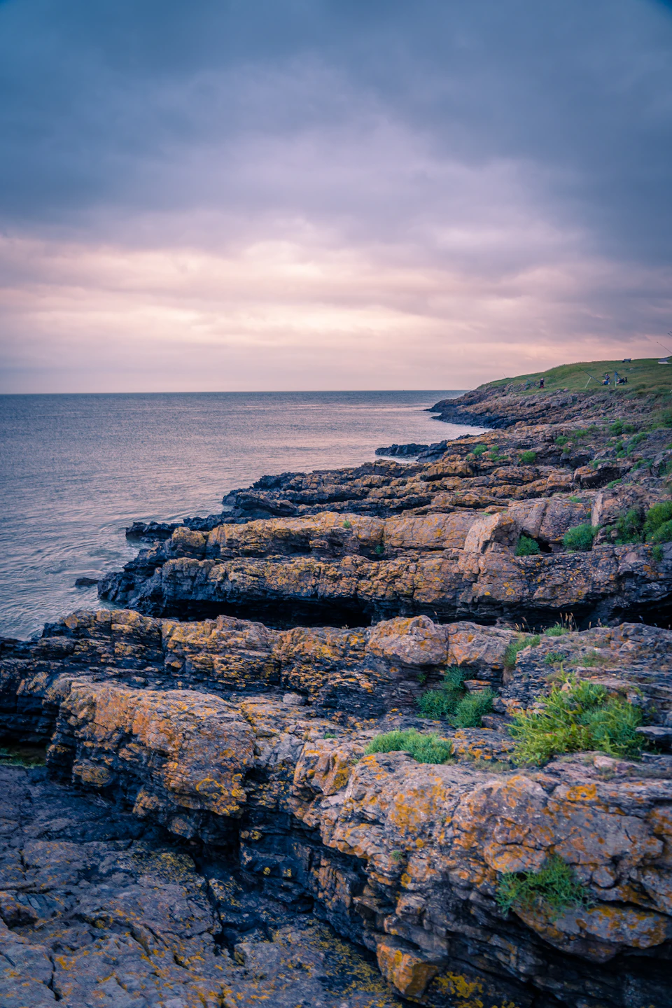 Rocky coastline with water stretching out into blue-orange sky, covered in green moss patches