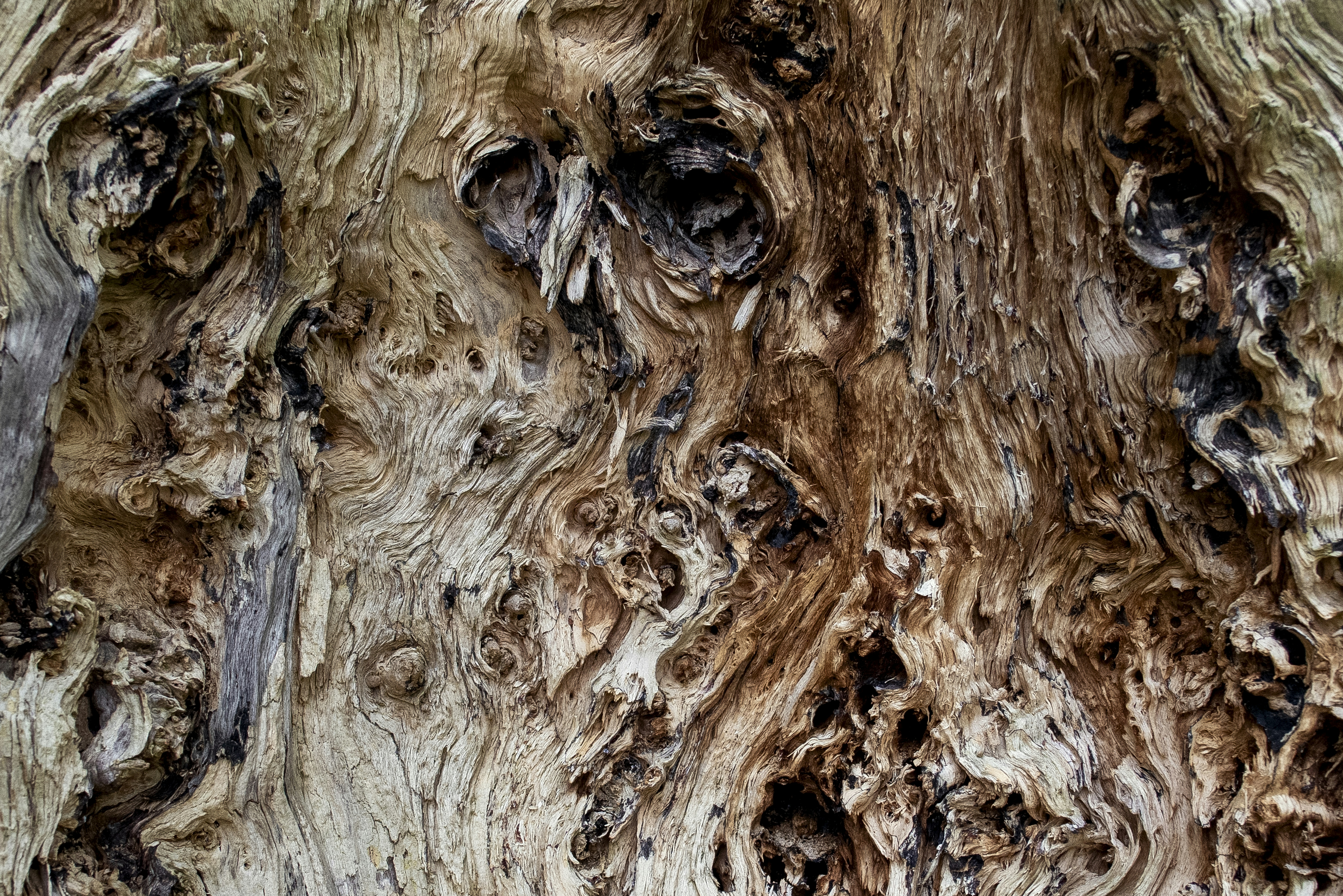 Photo by switch_dtp_fotografie