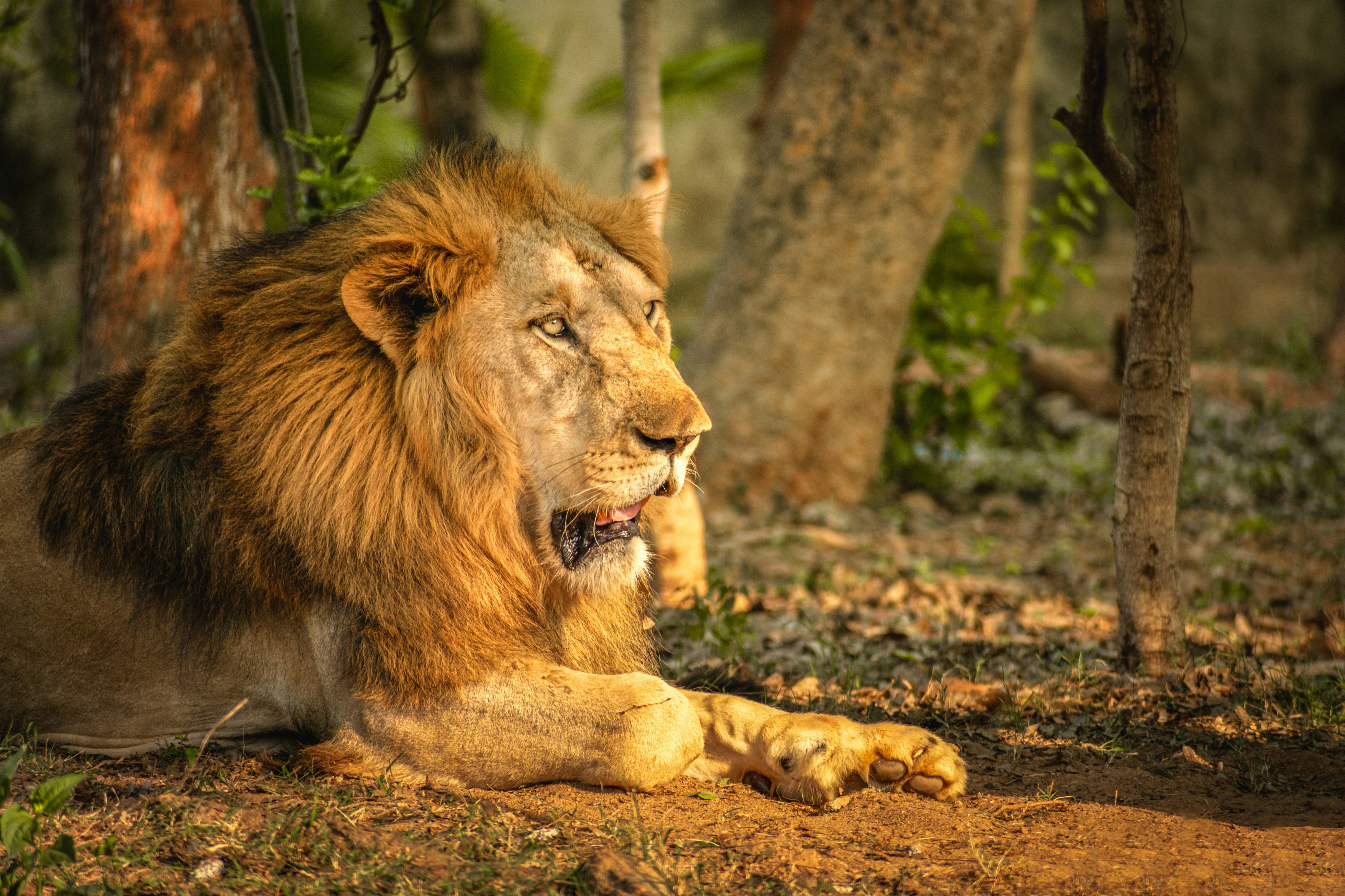 Photo by subhadeep57