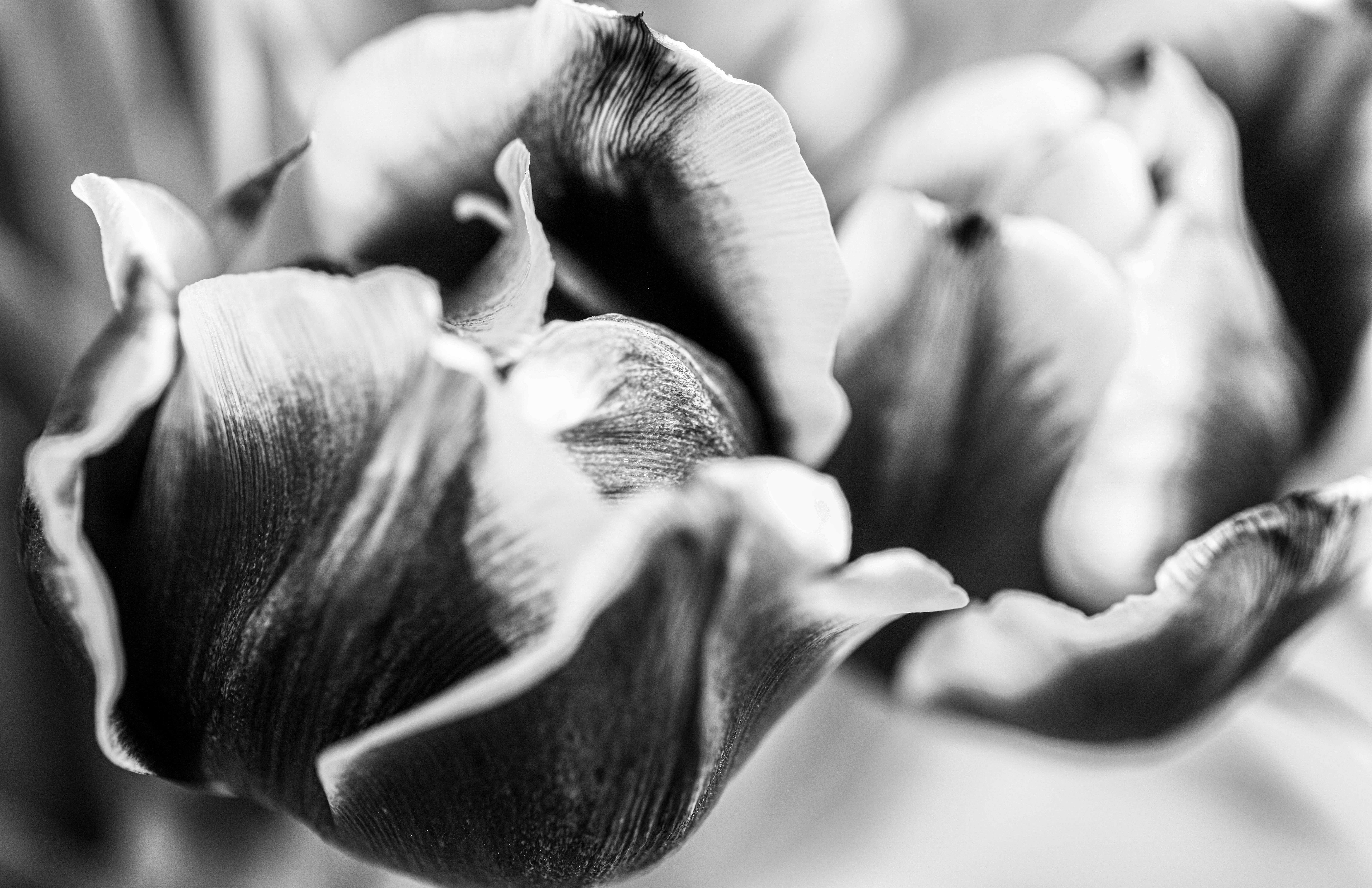 Photo by wilhelmgunkel