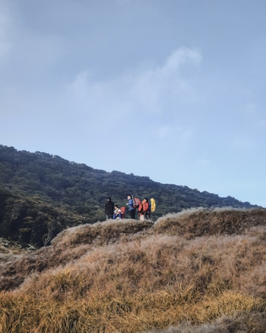people hiking on mountain during daytime