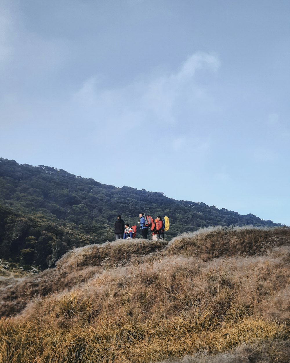 people hiking on mountain during daytime