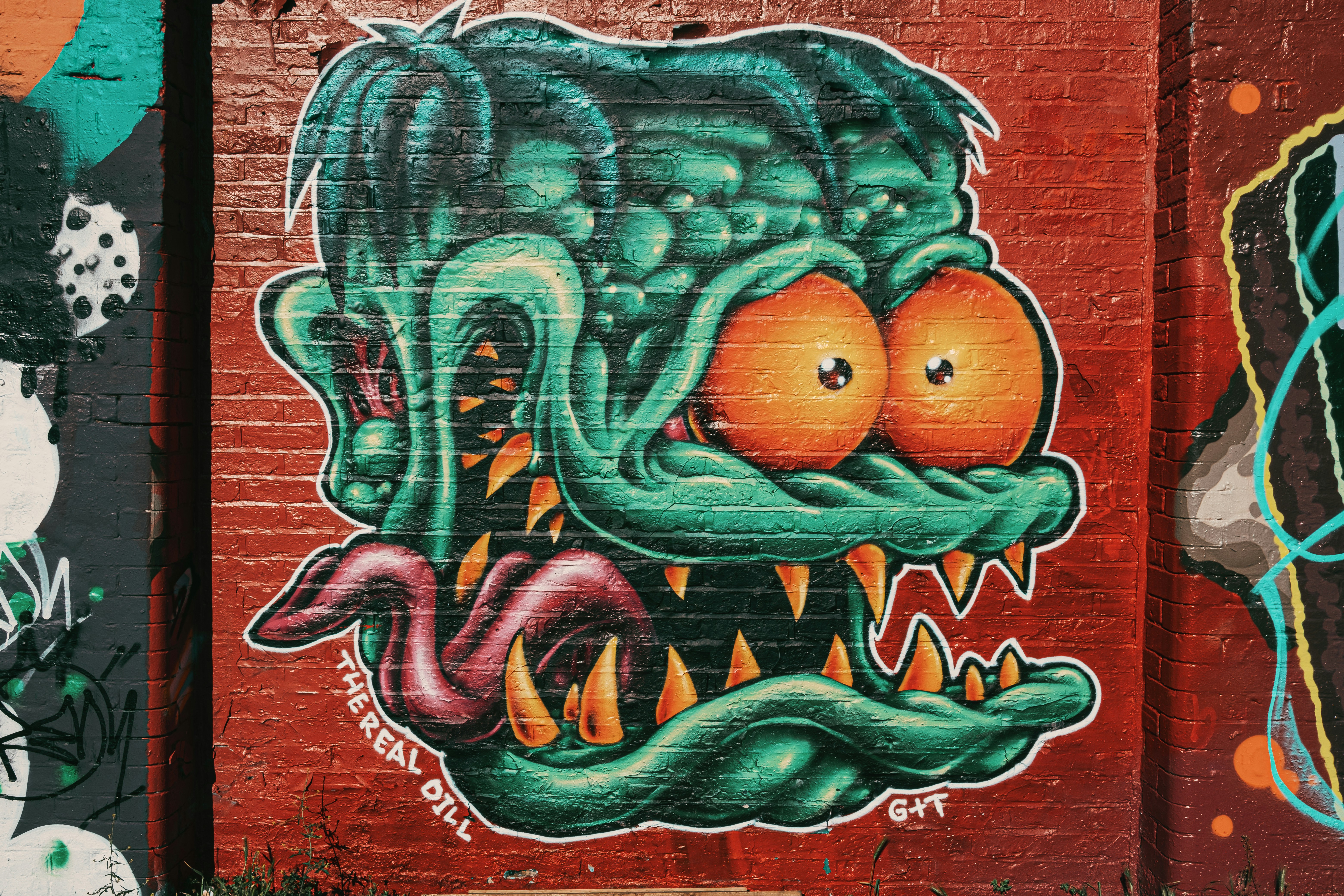 Photo by reganography