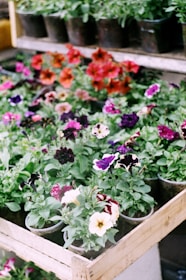 pink and purple flowers in brown wooden crate