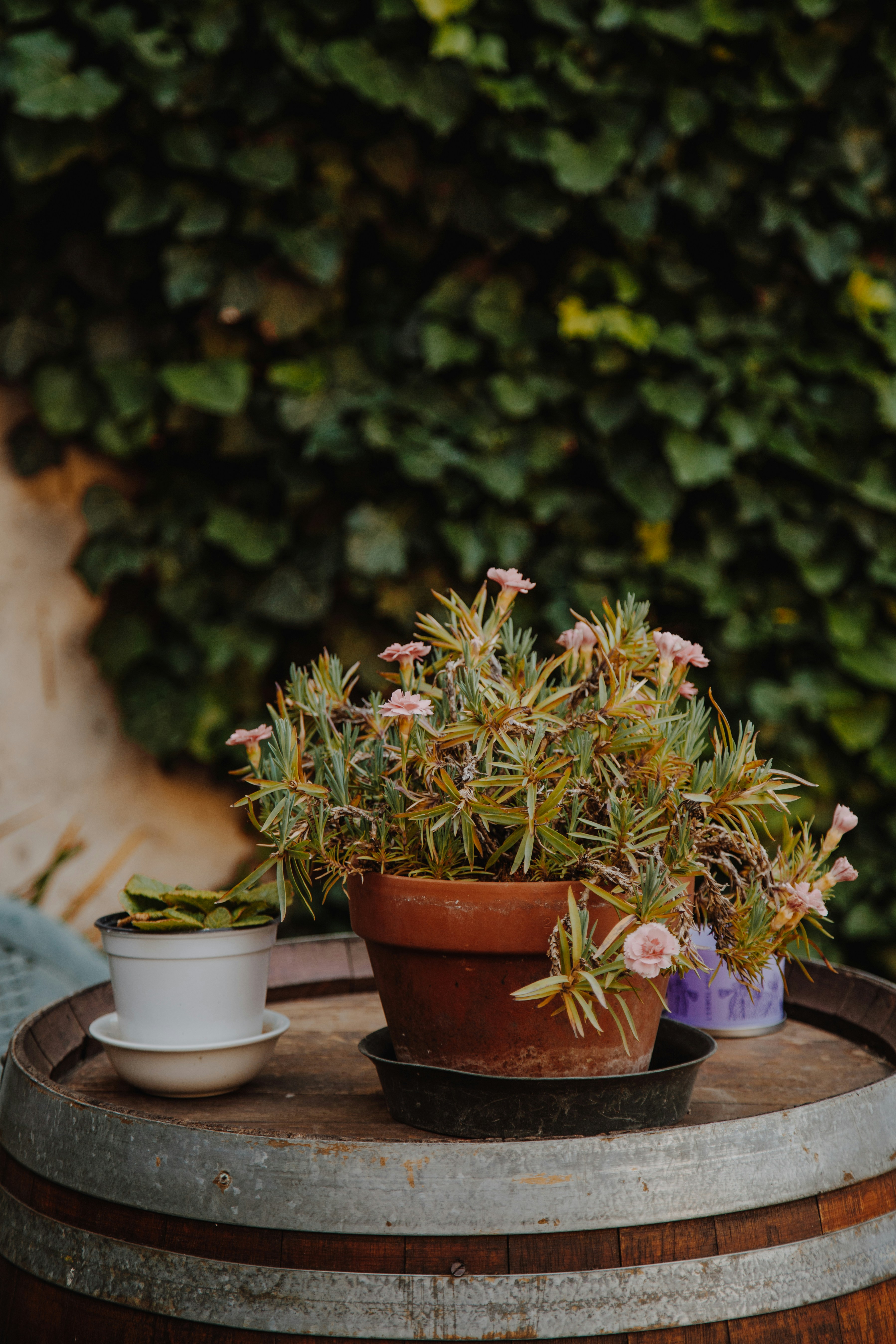 Photo by i_am_simoesse